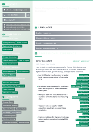 Authority Dark Theme CV - Page 1