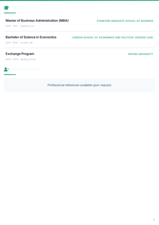Authority Dark Theme CV - Page 3